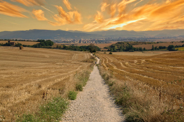 Το Camino de Santiago κατά την ανατολή του ηλίου στη Navarra, Ισπανία - Φωτογραφία, εικόνα