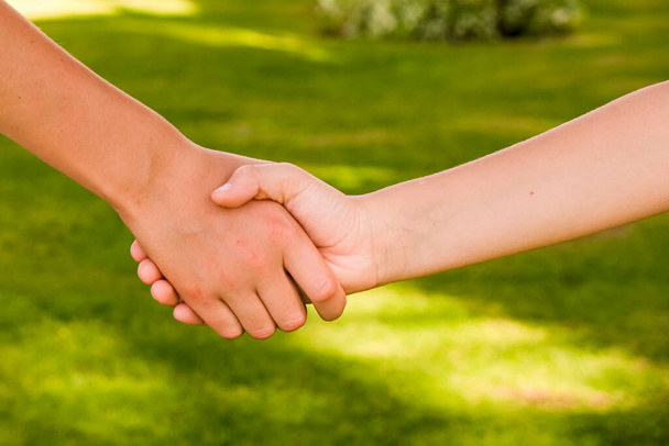 Two brothers or friends holding hands outside on green grass background. Love and family concept, unity. - Photo, Image