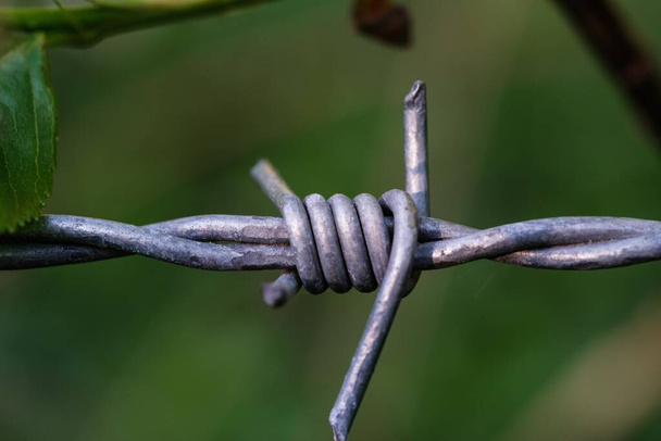 A beautiful closeup shot of a grey barbed wire - Фото, зображення
