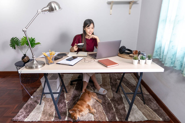 Kaunis aasialainen nainen työskentelee etänä kotoa kannettavan tietokoneen istuu sohvalla tai sohvalla olohuoneessa työn verkossa lemmikkieläinten pentu söpö koira ja huoltaja, työelämän tasapaino concep - Valokuva, kuva