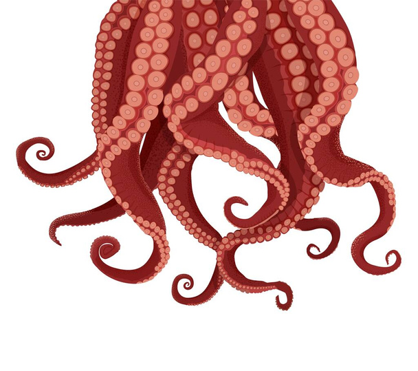 Tentáculos pulpo y sepia. Púrpura tentáculos kraken tetas rojas
. - Vector, imagen