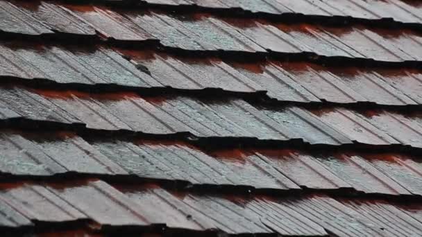 Βαρύς μπορεί καταιγίδα στην οροφή - Πλάνα, βίντεο