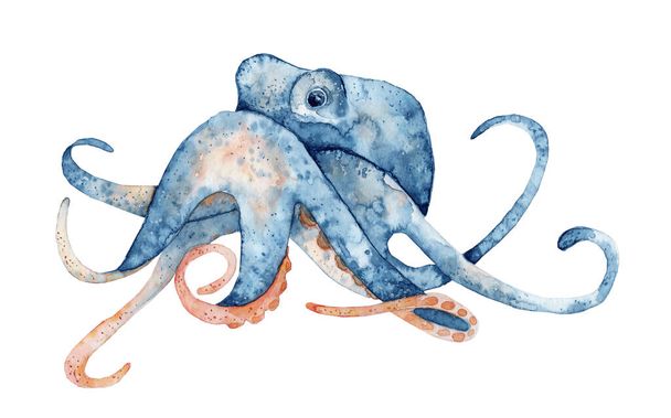 Watercolor hand drawn illustration of octopus in blue color isolated on white background - Foto, imagen