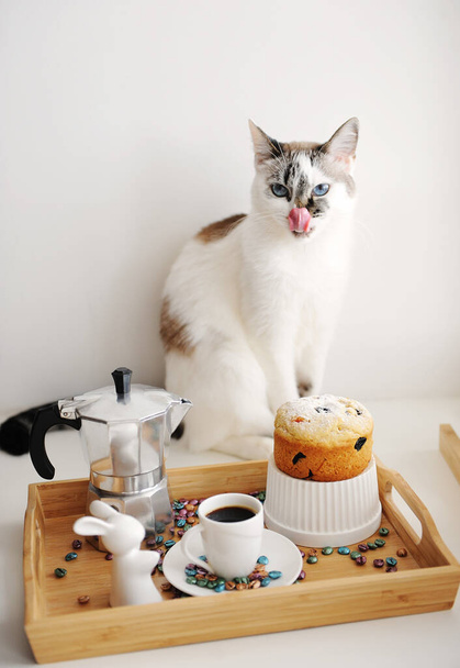 Roztomilé lízání kočka a velikonoční zátiší s kávou a dort. Podává se v dřevěném bambusovém tácu. Espresso maker moka pot. Bílá jídla, keramický velikonoční zajíček. - Fotografie, Obrázek