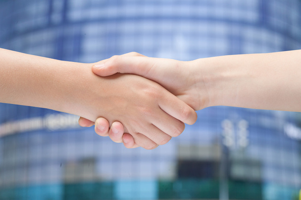 Business Handshake - Photo, Image