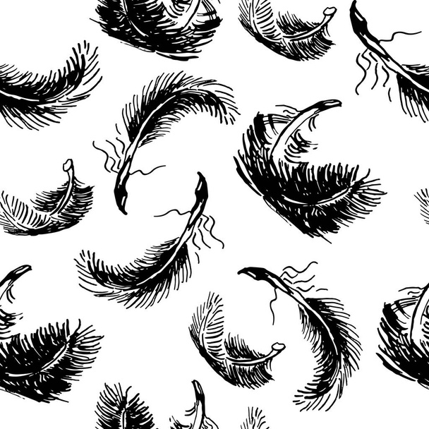 seamless pattern with ink flourish fether swan. hand drawn vector iilustration. - Вектор,изображение