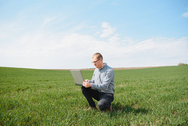 farmer standing in young wheat field examining crop and looking at laptop. - Fotoğraf, Görsel