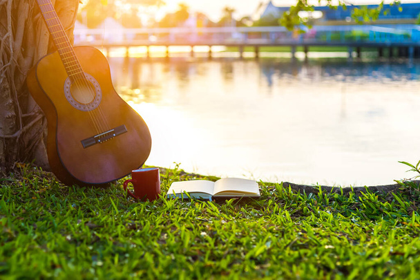guitar acoustic standing under the tree  in the parks and light of sunset. - Foto, Imagem