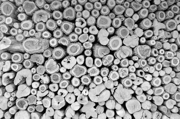 Parede de troncos de madeira empilhados fundo papel de parede - Foto, Imagem