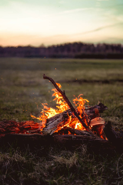 bonfire in the forest, burning bonfire on a hike at sunset. - Fotoğraf, Görsel