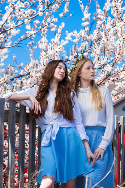 Two happy girls posing in garden near blossom cherry tree with white flowers. Spring time  - Фото, зображення
