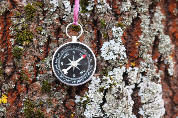 Stary kompas na naturalnym drewnianym tle - Zdjęcie, obraz