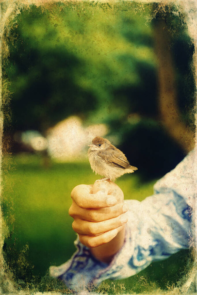 小鳥のいる女だ。鳥を手に. - 写真・画像