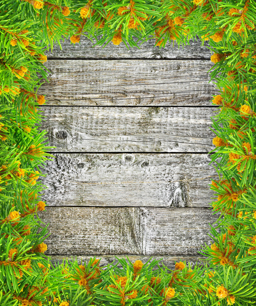 Ramos verdes de abeto no fundo de madeira
. - Foto, Imagem