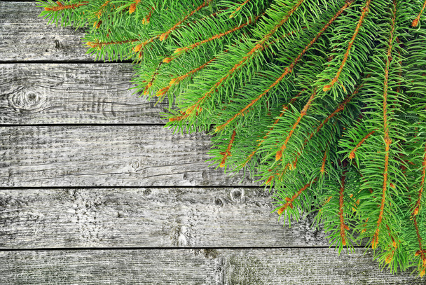 Green branches of spruce on the wooden background. - Photo, Image