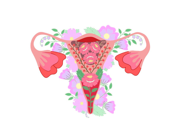 Organ of the uterus with flowers,female nature. Feminism concept.Beautiful female reproductive organ and flowers. Woman's symbol.Woman reproductive health illustration. Vector illustration.  - Vetor, Imagem