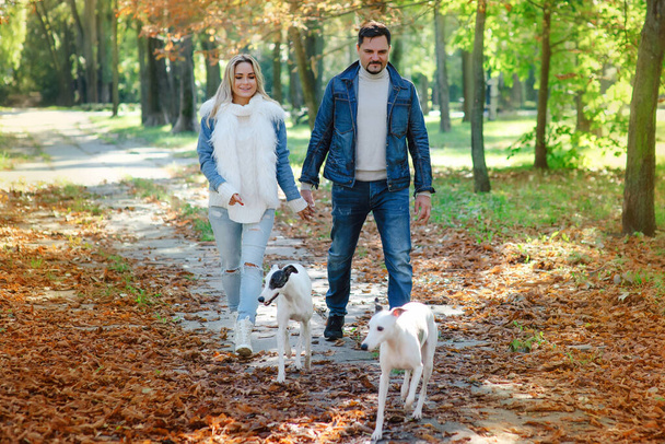 Güzel bir çift (kadın ve erkek) kotlarını giyer ve sonbaharda köpekleri kamçılayarak dışarı çıkarlar. Arkadaşlık, aile ve sağlıklı yaşam tarzı kavramı. - Fotoğraf, Görsel
