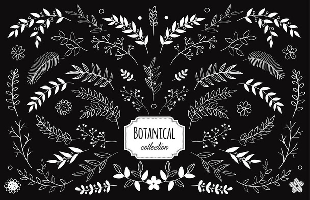 Hand drawn vector floral elements. Branches and leaves. Herbs and plants collection. Vintage botanical illustrations and floral wreaths. - Vector, Image