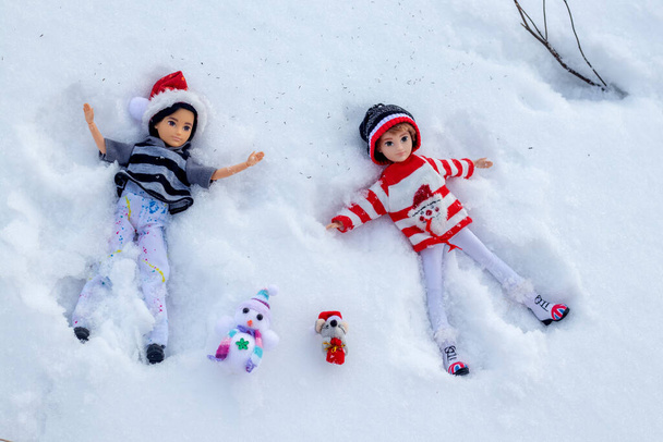 冬の散歩の写真雪の中のカップルクリスマス - 写真・画像