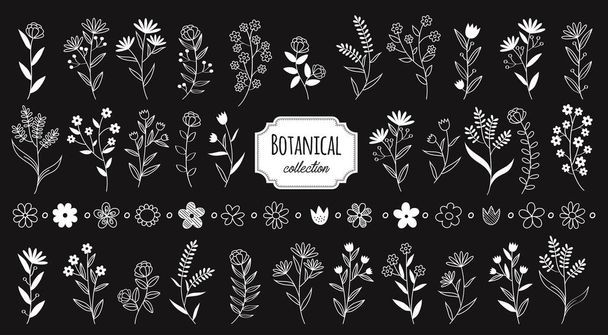 Zestaw vintage elementy botaniczne kwiat. Ręcznie rysowany element wektora rustykalnego. Kompozycje proste i nowoczesne z kwiatami, ziołami, liśćmi i gałęziami ilustracje. - Wektor, obraz