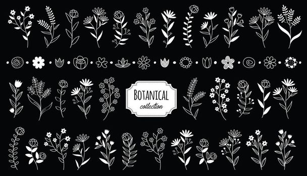 Klasik botanik elementler çiçek açar. El çizimi rustik vektör tasarım elementi. Basit ve modern kompozisyonlar, çiçekler, bitkiler, yapraklar ve dallar.. - Vektör, Görsel