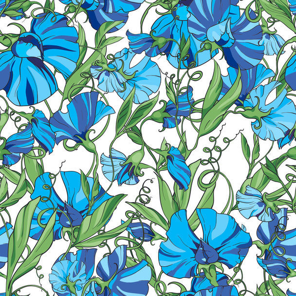 Blue flowers  sweet pea  on a white background,  floral seamless pattern. Pattern for fabric, wrapping paper, web pages, invitations, greeting cards - Foto, immagini