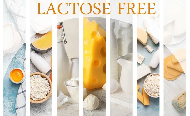 Collage of photos with different dairy products without lactose - Foto, Imagen