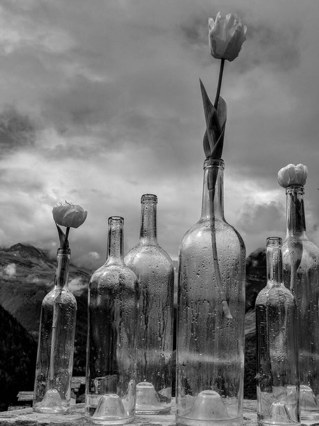 Schwarz-Weiß-Fotografie der schönen Außenterrasse mit Flaschenvasen Dekoration auf einem wolkenverhangenen grauen Hintergrund. - Foto, Bild