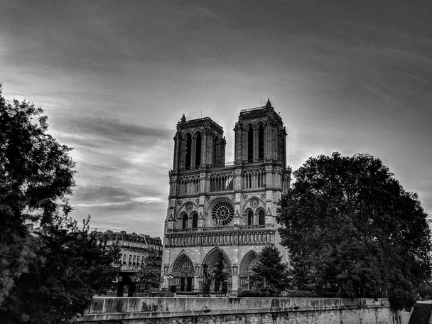 Černobílá fotografie ranního slunce na ohromující katedrále Notre-Dame podél břehu řeky Siene, Paříž. - Fotografie, Obrázek