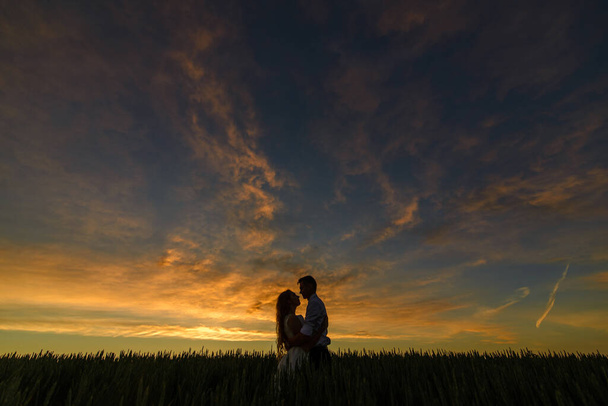 Bride and groom in a wheat field. Silhouette frame at sunset. - Фото, зображення