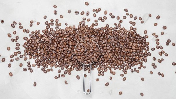 coffee beans on a white background with copy space for your text - Fotoğraf, Görsel