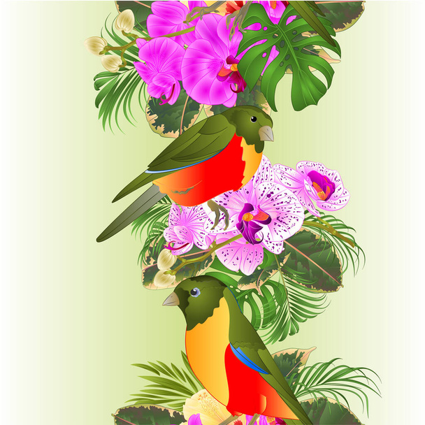 Függőleges határ zökkenőmentes háttér trópusi virágok lila és lila és fehér orchideák phalenopsis kis trópusi madarak tenyér, philodendron vintage vektor illusztráció szerkeszthető kézi sorsolás - Vektor, kép