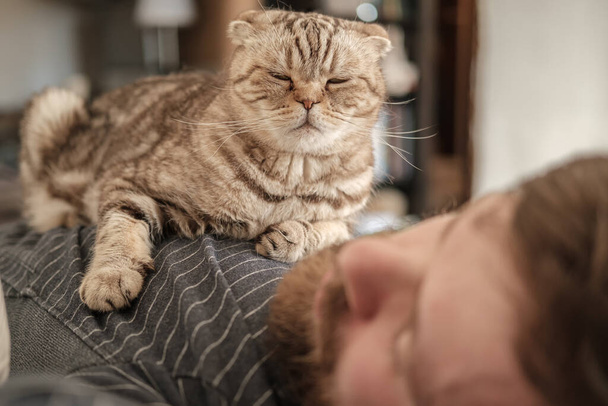 Симпатичный кот, Скоттиш Фолд, лежит на груди спящего владельца. Концепция доверия, любви и дружбы между людьми и домашними животными
. - Фото, изображение