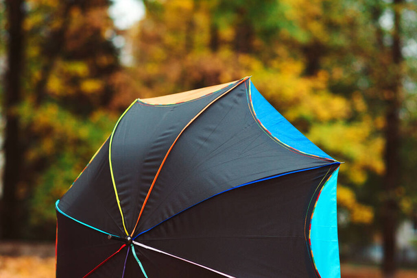Colorful umbrella over autumn nature background. Autumn weather. Natural blurred background. Beautiful autumn landscape with trendy umbrella. Fall season, lifestyle. - Fotó, kép