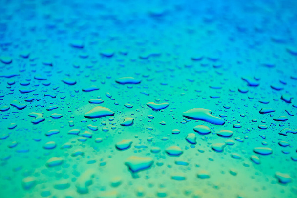 Gotas de agua en la superficie holográfica del camaleón. Hermoso fondo colorido con poca profundidad de campo. Gradiente azul y aguamarina
. - Foto, imagen