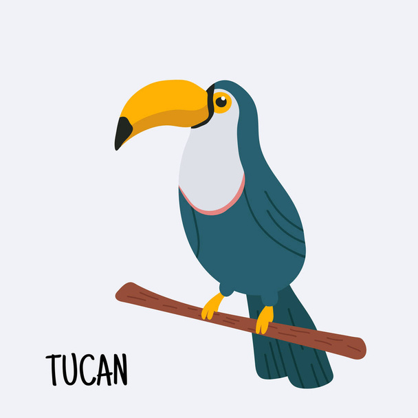 Colorida ilustración de un lindo tucán sentado en la rama. Ilustración vectorial
 - Vector, Imagen