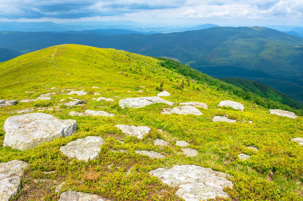 white rocks on the edge of alpine meadow. fresh green grassy slopes of mountain landscape in summer. distant ridges rolling in to the horizon. sunny weather with cloudy sky - Photo, image