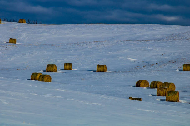 Hooibalen in een besneeuwd veld. Cowboy Trail, Alberta, Canada - Foto, afbeelding