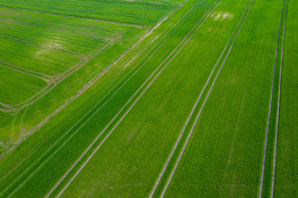 εναέρια άποψη πάνω από τα αγροτικά πεδία το καλοκαίρι - Φωτογραφία, εικόνα