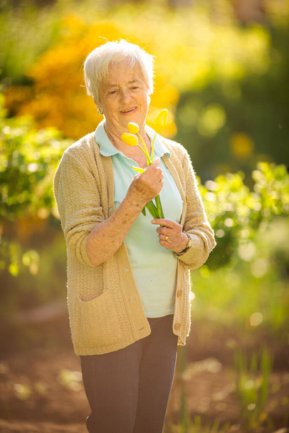 Senior woman doing some gardening in her lovely garden - watering the plants - Foto, Imagen