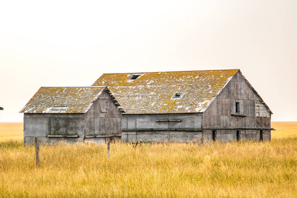 Opuszczone budynki gospodarcze na preriach. Alberta, Kanada - Zdjęcie, obraz