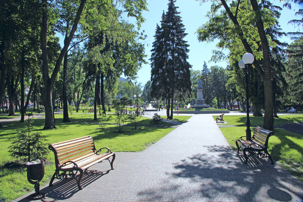 Krásný městský park s promenádními lavičkami a velkými zelenými stromy. Městský park v létě. Místo na procházku. Prázdná lavička v městském parku - Fotografie, Obrázek
