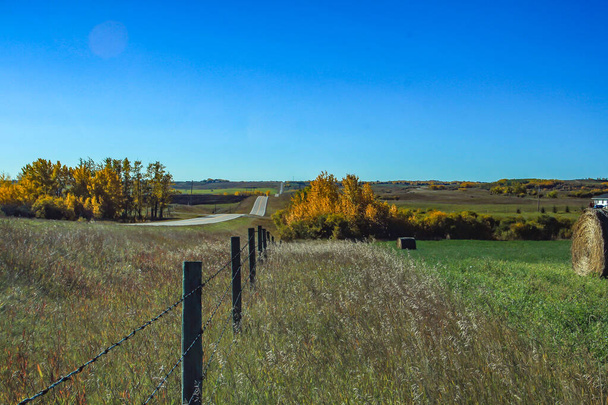 Kolory jesieni i bele siana u podnóża. Hrabstwo Foothills, Alberta, Kanada - Zdjęcie, obraz
