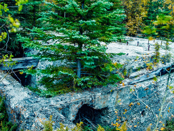 Pozostałości starego górniczego miasta. Dolny Bankhead, Park Narodowy Banff, Alberta, Kanada - Zdjęcie, obraz
