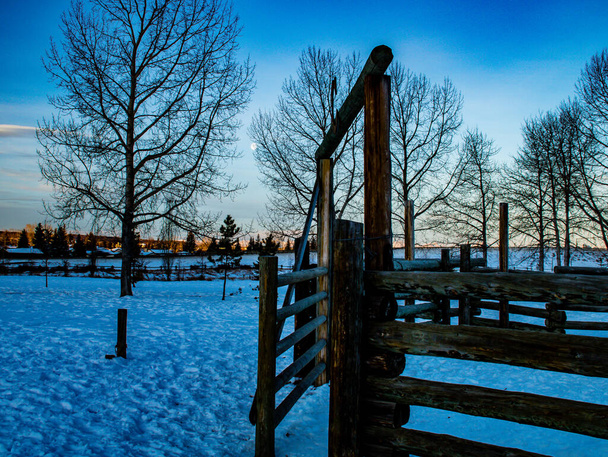 Stara zagroda o świcie. Cochrane, Alberta, Kanada - Zdjęcie, obraz