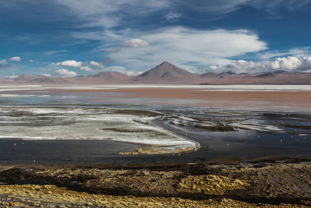 Andean Eduardo Avaroa National Wildlife Reserve, Bolivia, South America - Фото, зображення