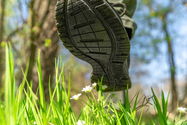 mens sapato pisca flores em um prado verde, as pessoas destroem a natureza
 - Foto, Imagem