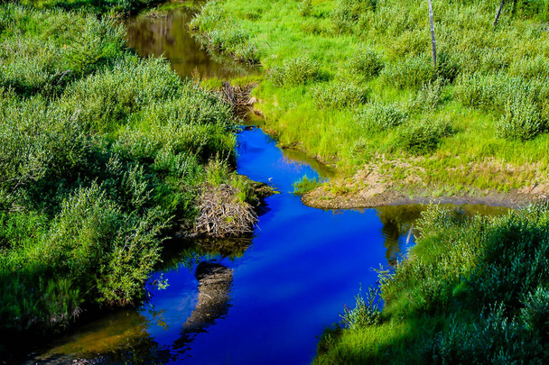 Z drogi widać trawiaste pola, strumienie i jesienne kolory. Waiprous Village, Alberta, Kanada - Zdjęcie, obraz