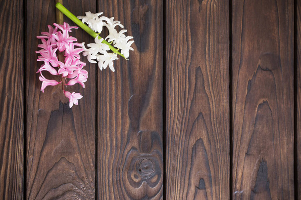 hiacynt kwiaty na ciemnym drewnianym tle - Zdjęcie, obraz