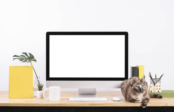 Mockup üres képernyő asztali számítógép és dekorációk macska állat fa asztal és fehér fal háttér. - Fotó, kép
